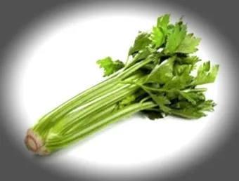 샐러리 효능 알고 먹는법 잎 생으로 손질법 요리_5