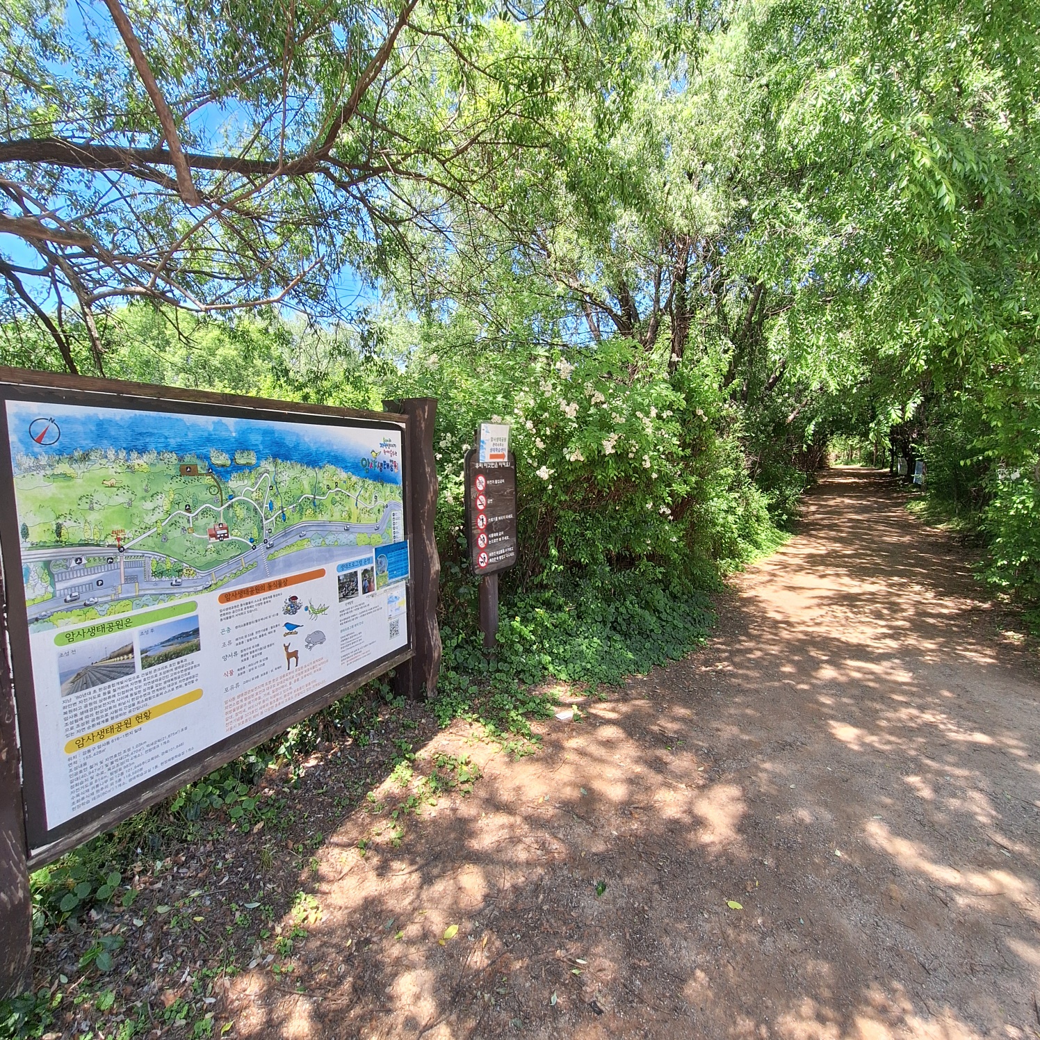 암사생태공원