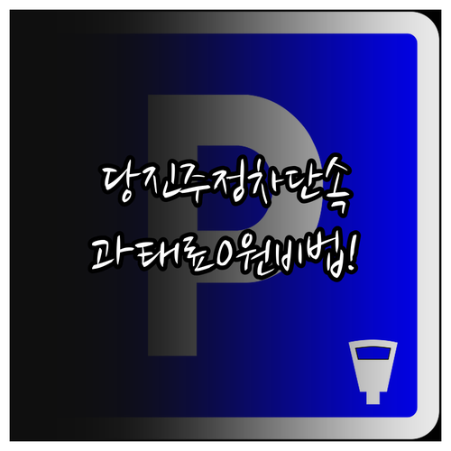 당진 주정차 단속 문자 서비스로 과태..