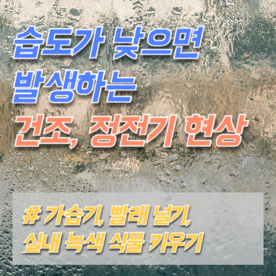 습도-문제