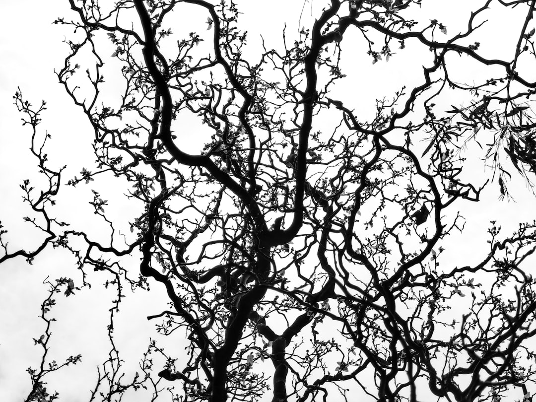 Neuropathy