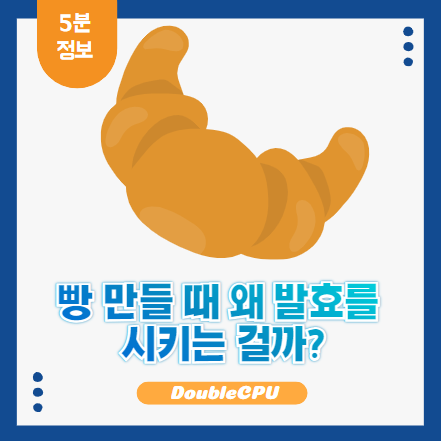 빵 발효 이유