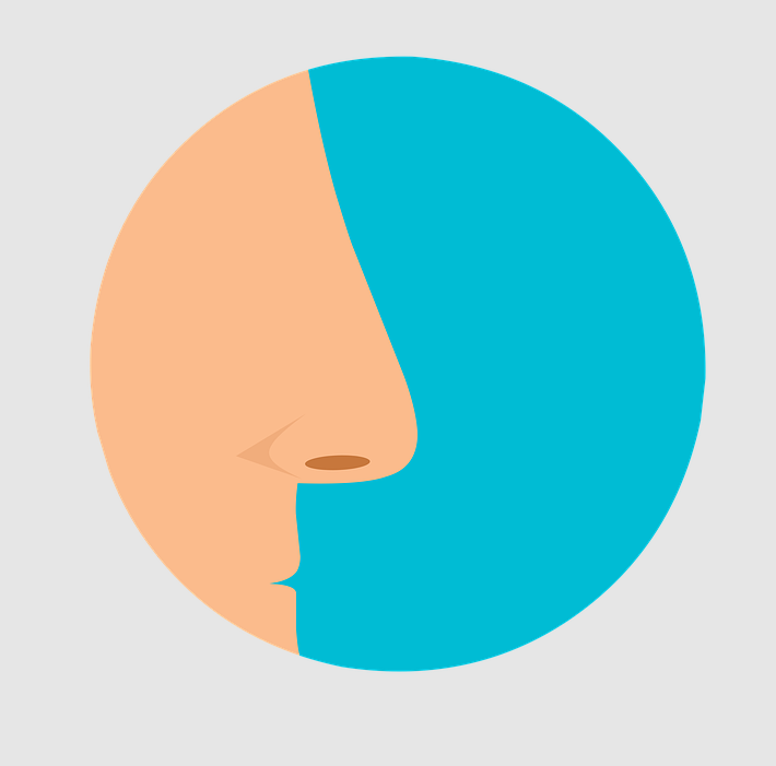 알레르기 원인 및 증상