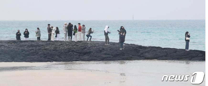 겨울 제주도 여행