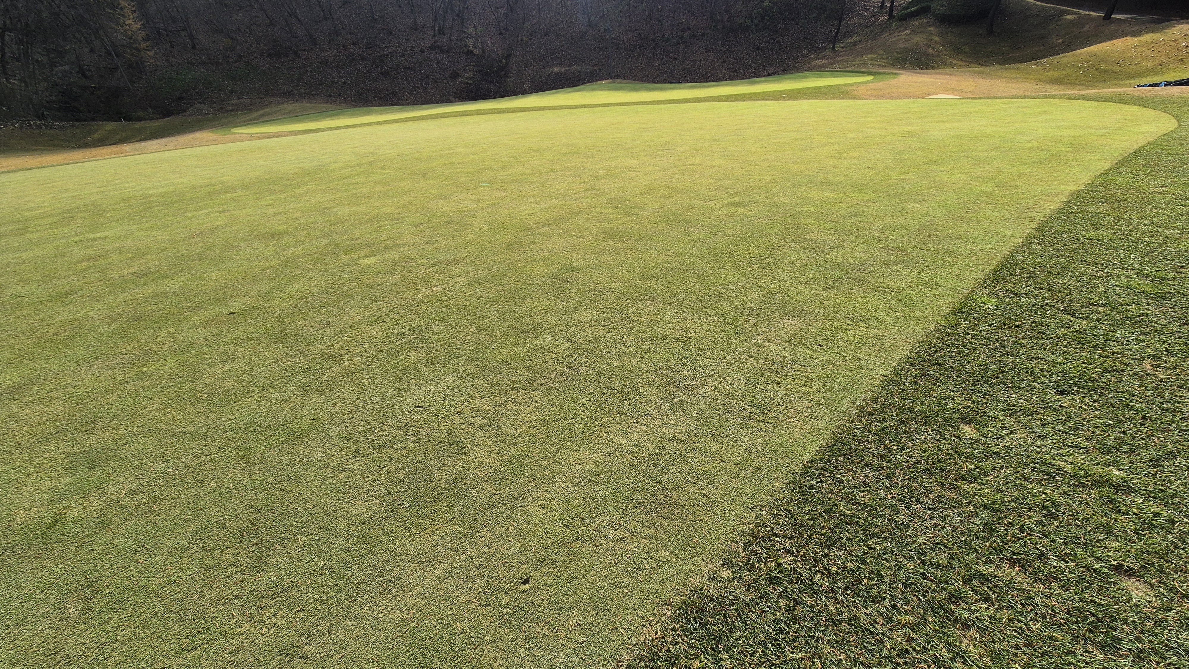 올데이 떼제베cc 가람-누리(서-남) 그린빠르기 및 난이도