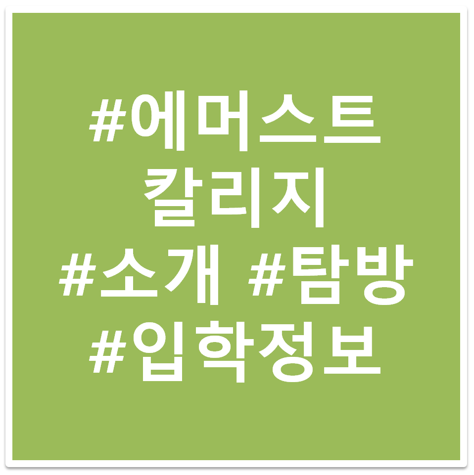에머스트칼리지 태크 이미지