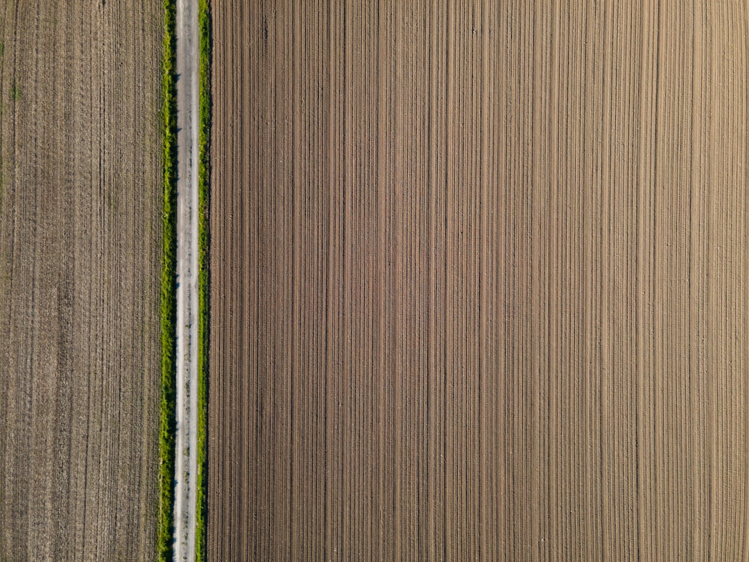 Yield
