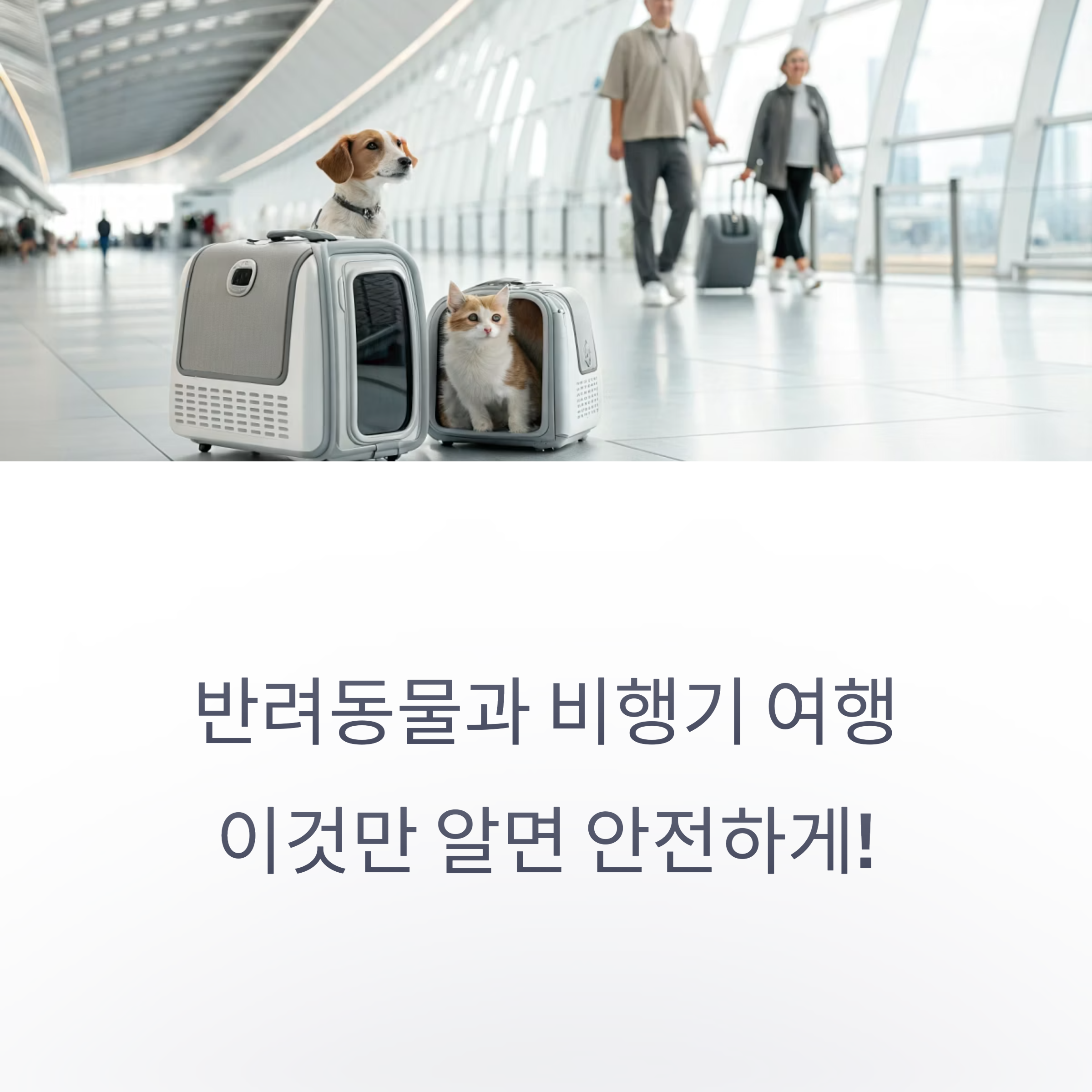 꼭 알아야 할 핵심 팁