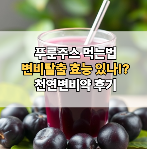 푸룬주스-먹는법-효능-변비탈출-천연변비약-후기