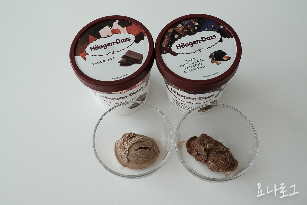 하겐다즈 하겐다즈초콜릿 초코아이스크림 초코디저트 초콜릿디저트 다크초코 다크초콜릿 초콜릿 다크초코아이스크림 다크초콜릿가나슈앤아몬드 내돈내산 내돈내산리뷰 아이스크림리뷰 아이스크림추천 하겐다즈추천 간식 간식추천