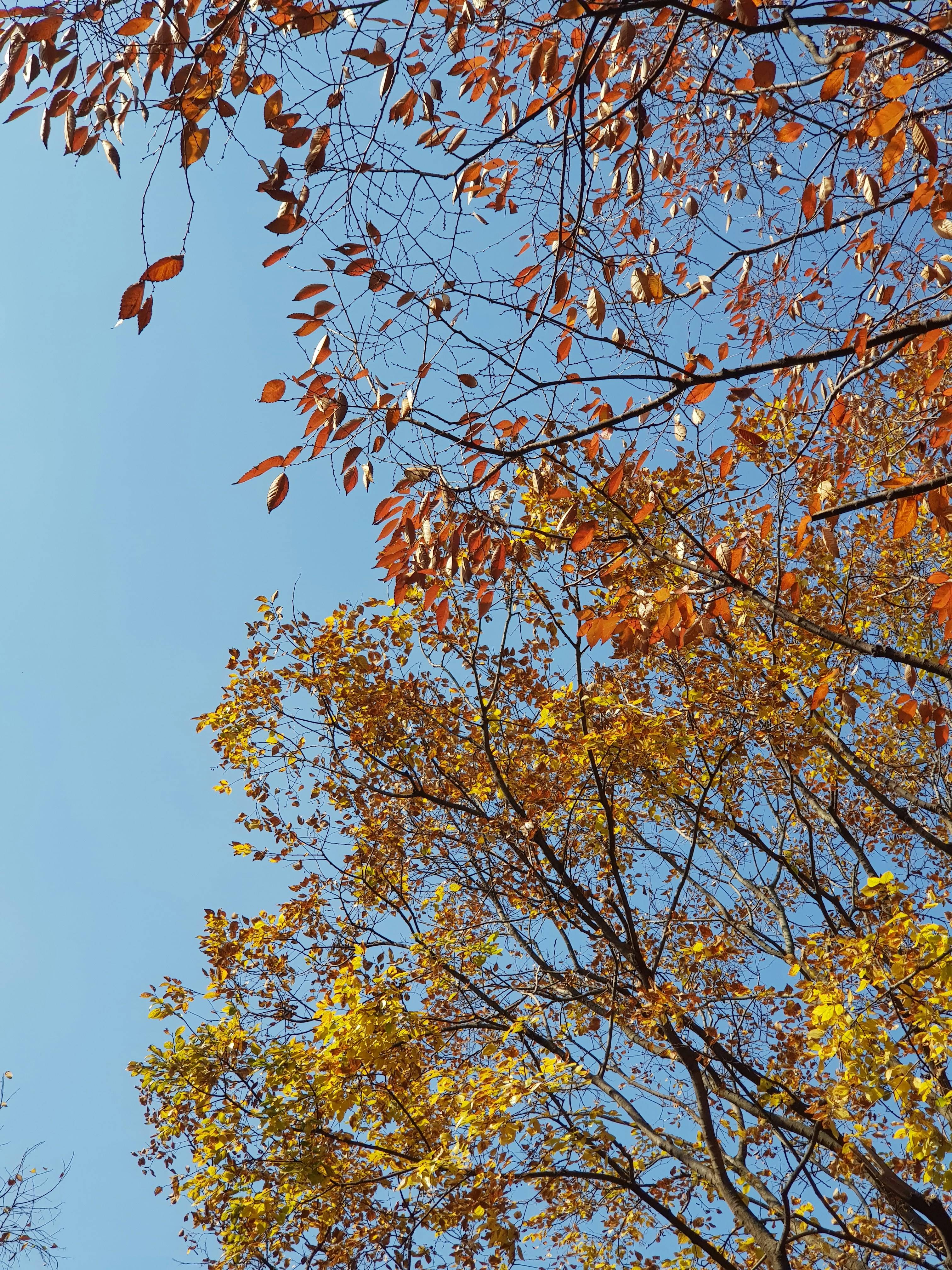 APEC 뜻 완벽 정리｜아시아태평양경제협력체란? 21개국이 함께 만드는 세계 경제 협력의 중심