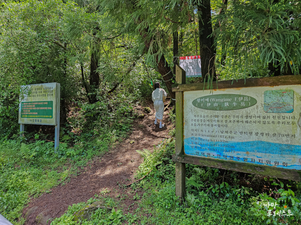 왕이메오름 입구