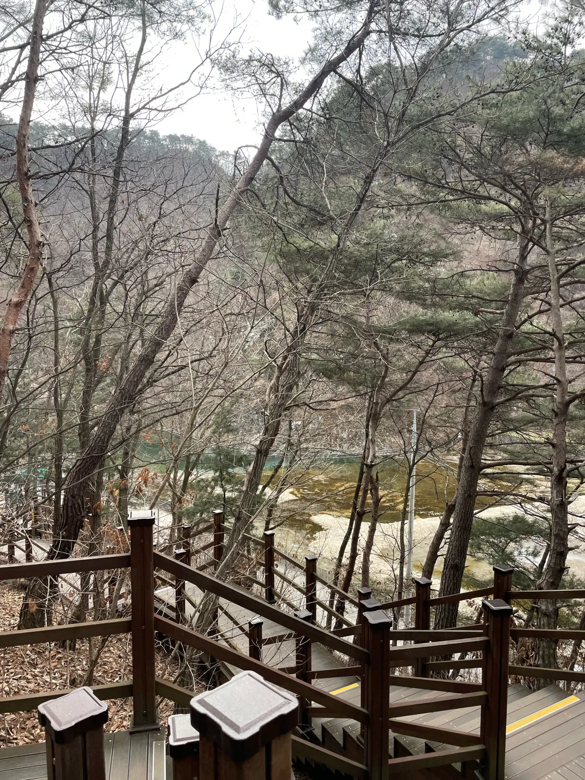 강원도-원주여행-소금산-출렁다리-주말-방문후기-산책로-소요시간,-또-가고싶은-이유