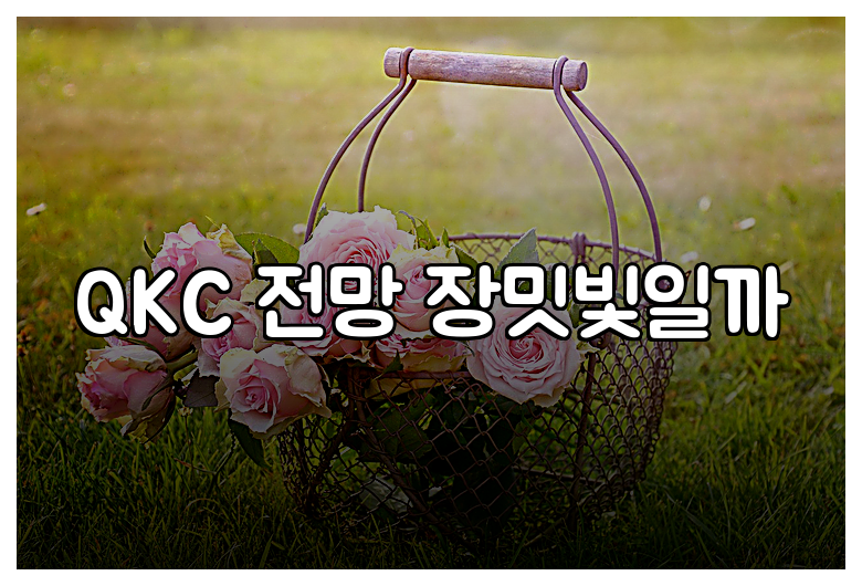 QKC 전망 장밋빛일까