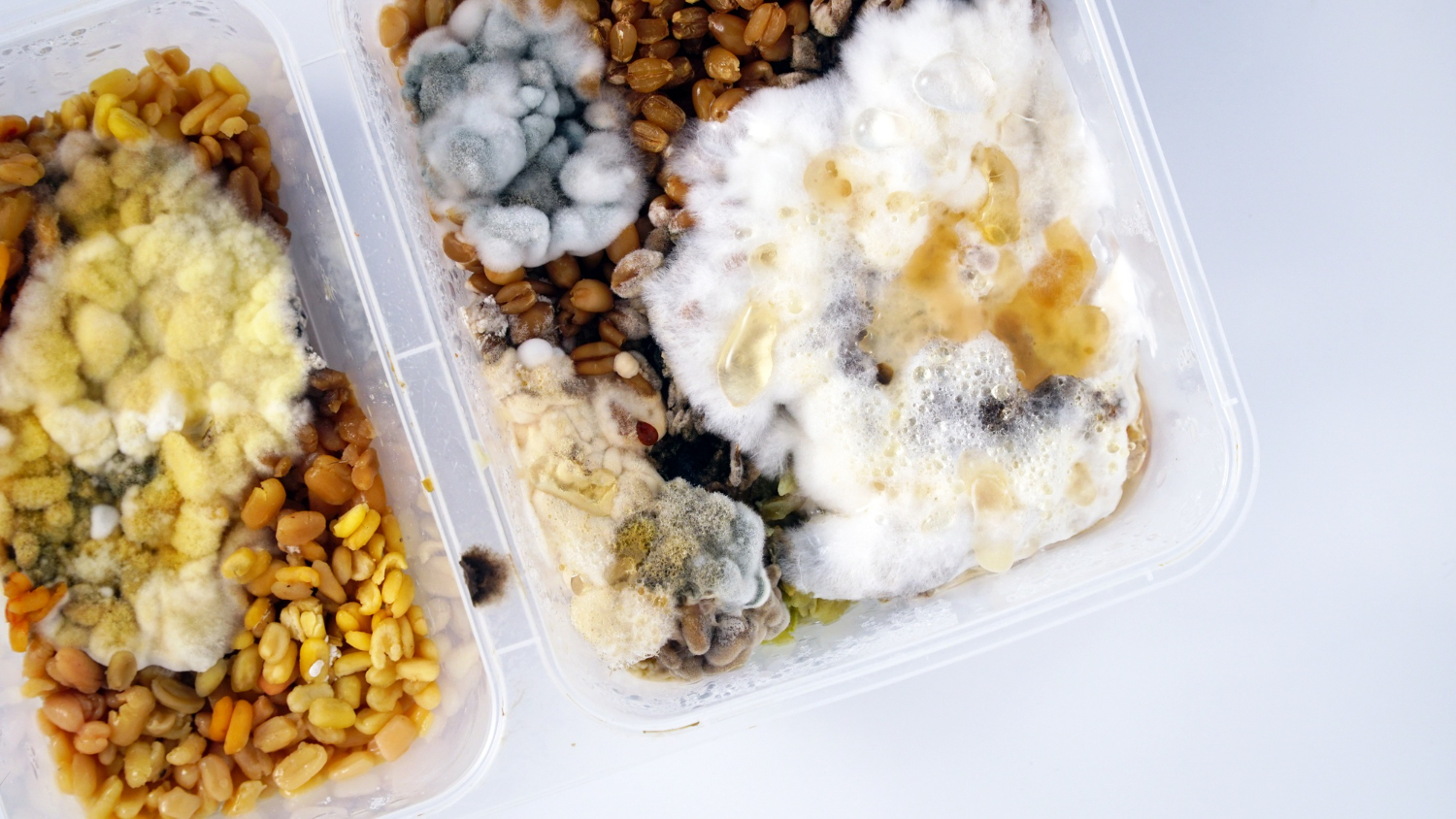 소비기한 표시제