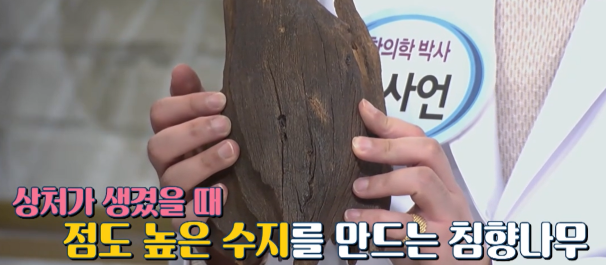 침향이란?