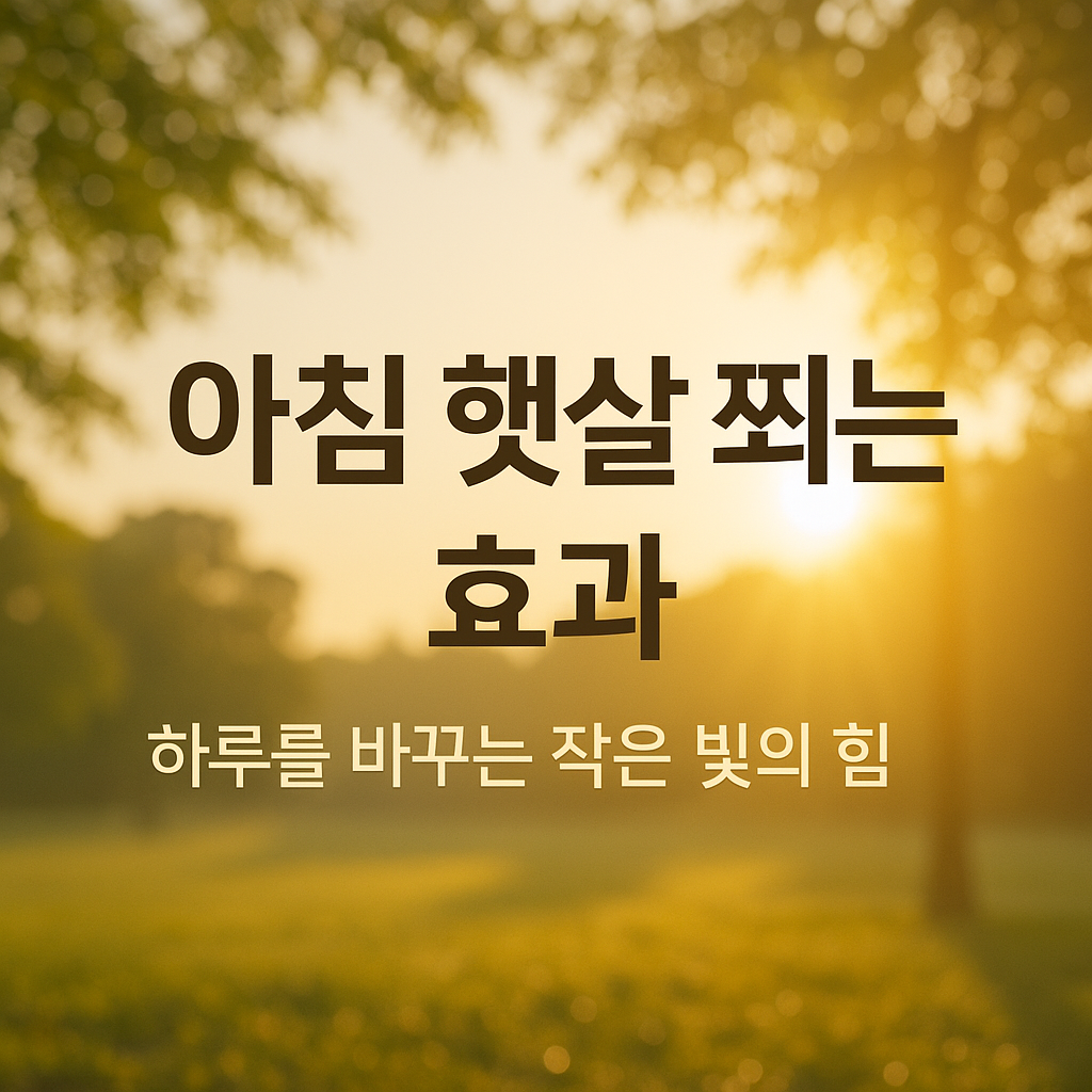 아침 햇살 쬐는 효과 - 하루를 바꾸는 작은 빛의 힘