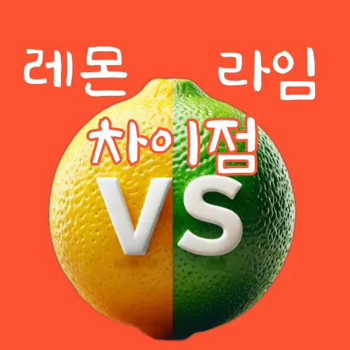 제목