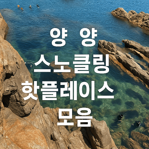 양양 스노쿨링 숨겨진 스팟 베스트 5