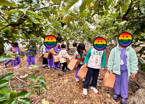 머시머시체험농장