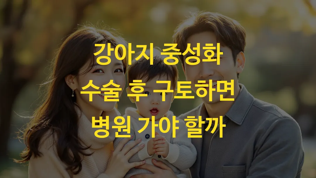 강아지 중성화 수술 후 구토하면 병원 가야 할까
