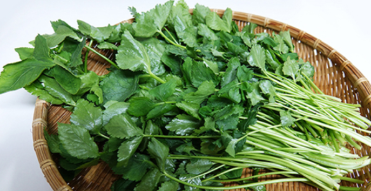 참나물 요리 관련 사진