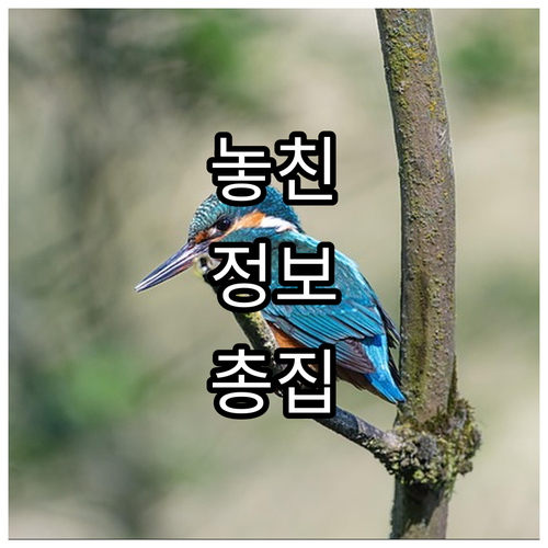 장례비 부담 줄이기 2025 부산영락..