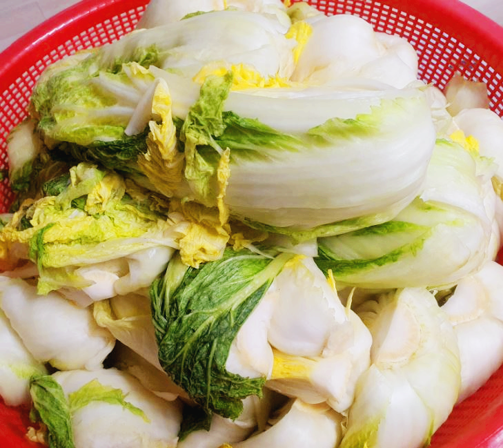 김장을 위한 배추 손질과 절이는 완벽한 방법