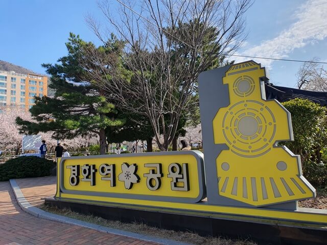 진해 경화역 벚꽃