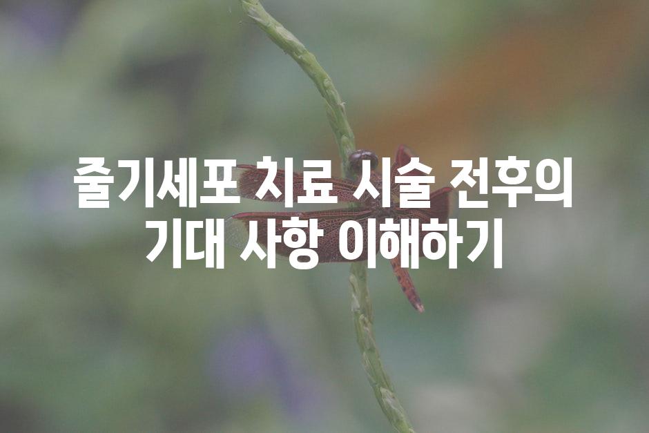 줄기세포 치료 시술 전후의 기대 사항 이해하기