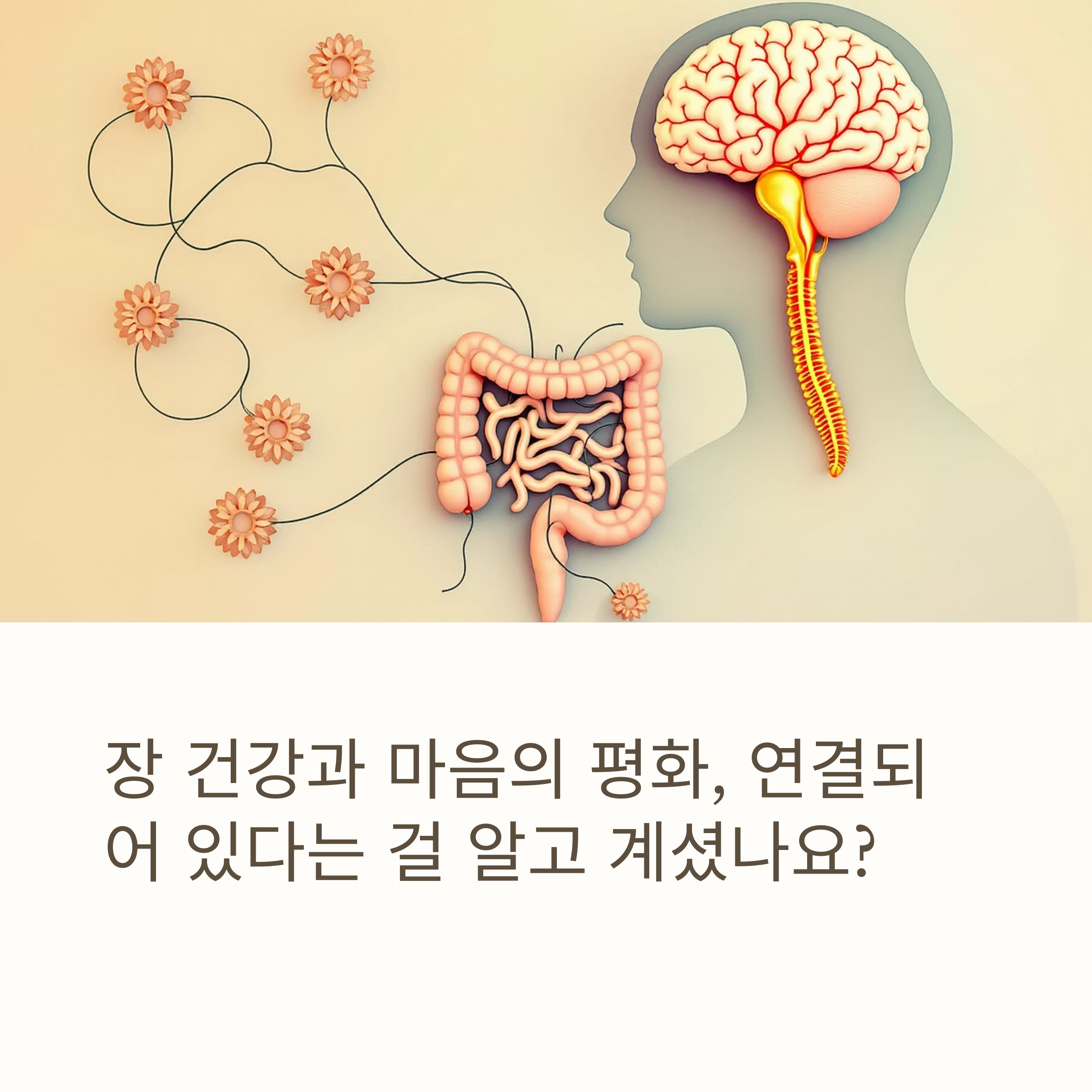 장 활성화 솔루션