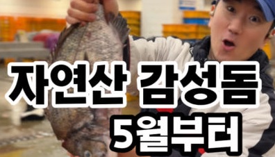 생방송투데이 오늘도 달린다 청년 사장 달려야 산다 노량진 도시어부 피쉬서핑