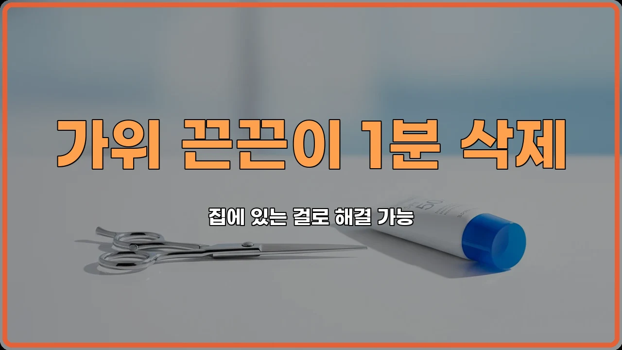 생활정보