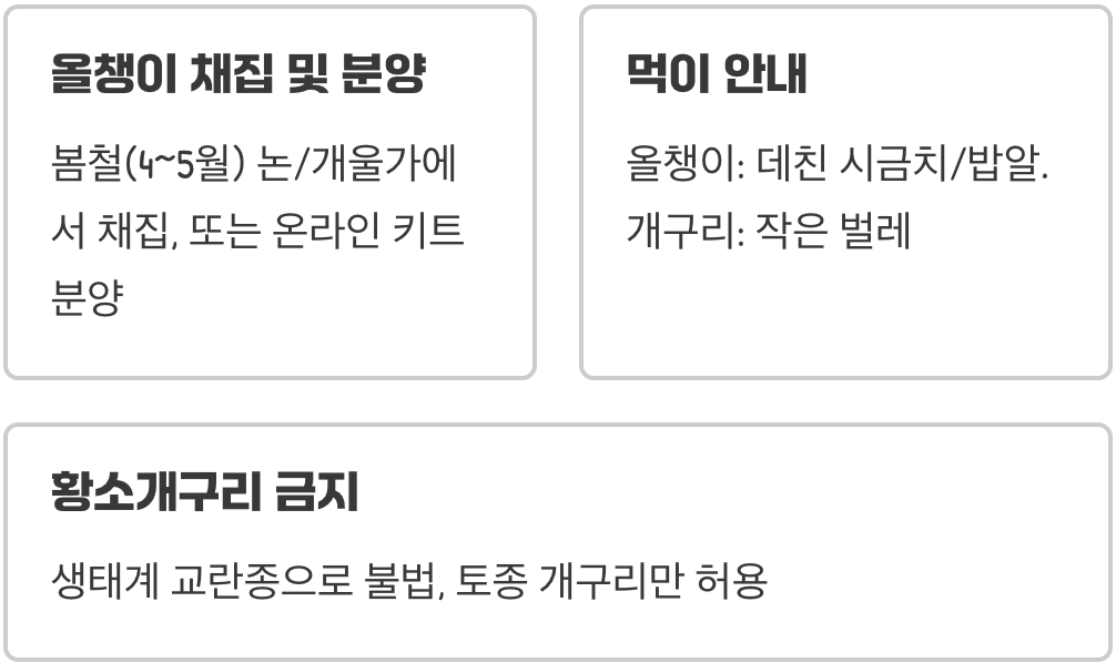 아이와 함께 개구리키우기&amp;#44; 교육용 반려동물로 최고인 이유