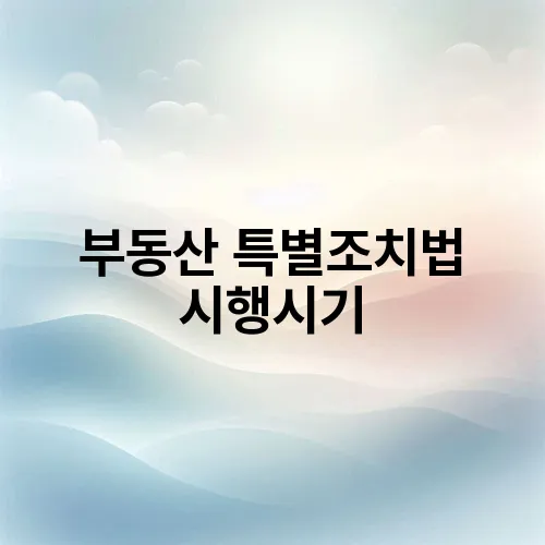 부동산 특별조치법 시행시기