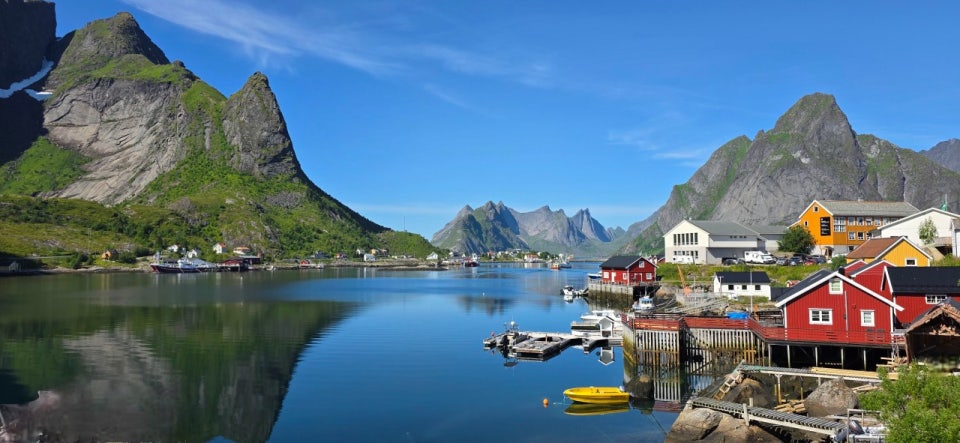 헤링오일 11 효능 먹는법 부작용