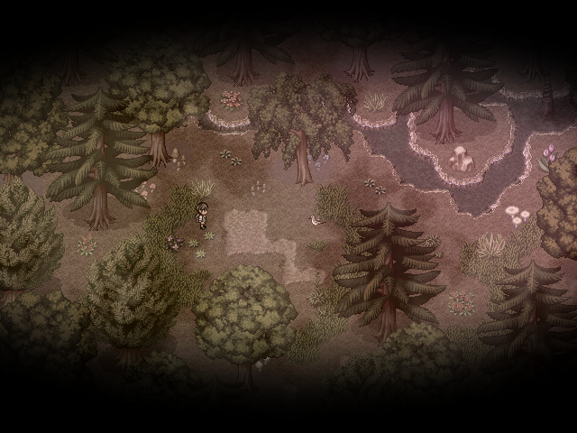 다친 새를 만나다