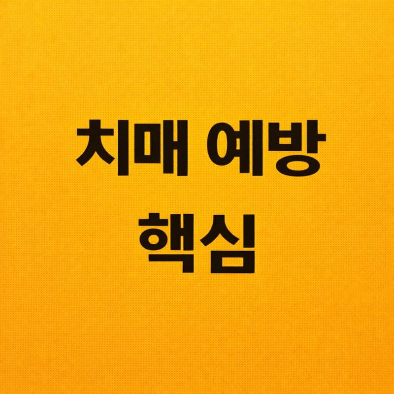 치매 에방 핵심