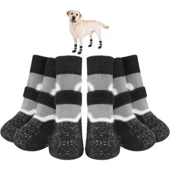 고양이가 발 핥는 이유_4