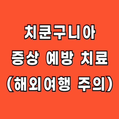 치쿤구니아 증상 예방 치료