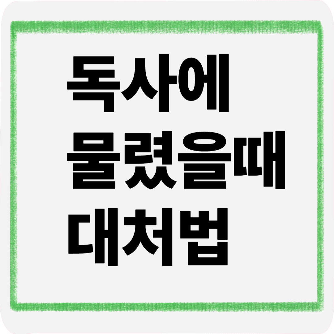 독사에 물렸을때대처법