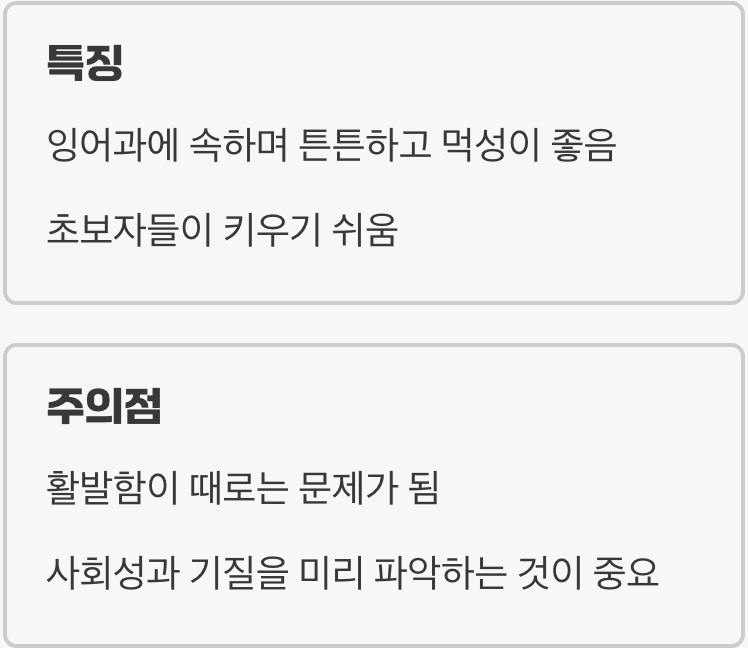 바브(Barb), 활기 넘치는 어항의 감초