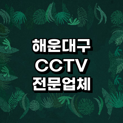 부산 해운대구 cctv