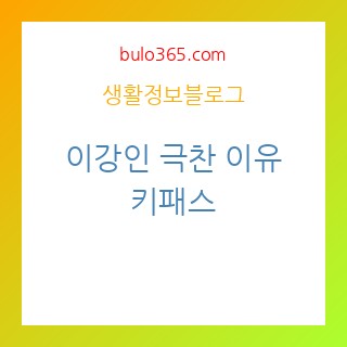 이강인, 극찬 이유, 키패스 4회, 패스성공률 95%
이강인-극찬이유-키패스-패스성공률