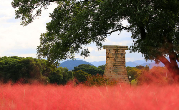 가을이 오면 꼭 가야 할 곳, 경주 첨성대 역사 산책