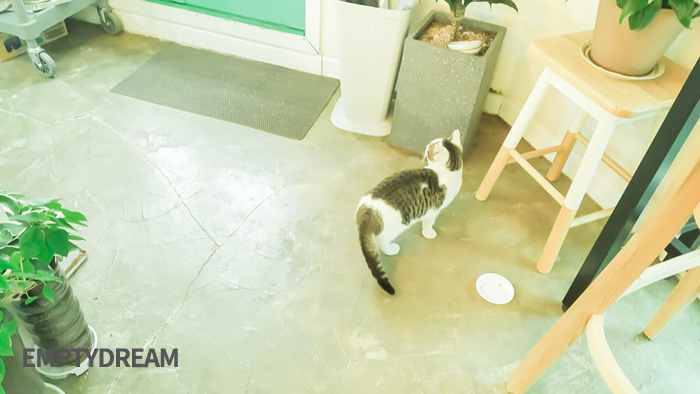 동해시 논골담길 103LAB 카페 게스트하우스 사진