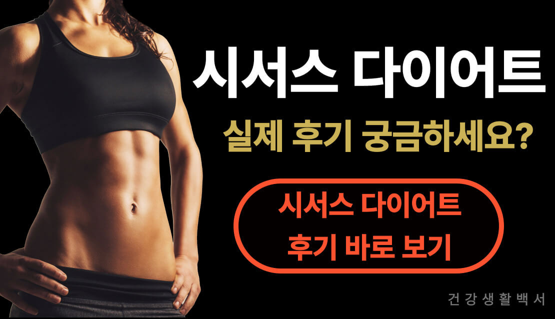시서스 다이어트 후기