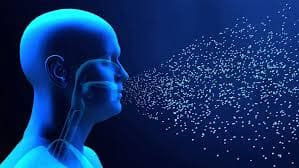 여름 알레르기 비염 사진