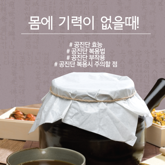 몸에 기력이 없을때 공진단