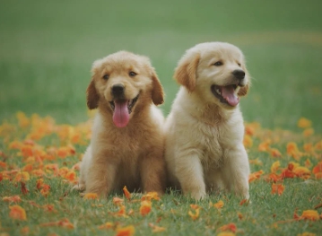 인스타 스레드 쉬운 설치 가입